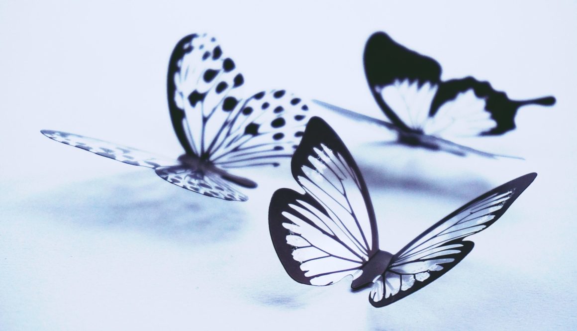 butterflies-1913226